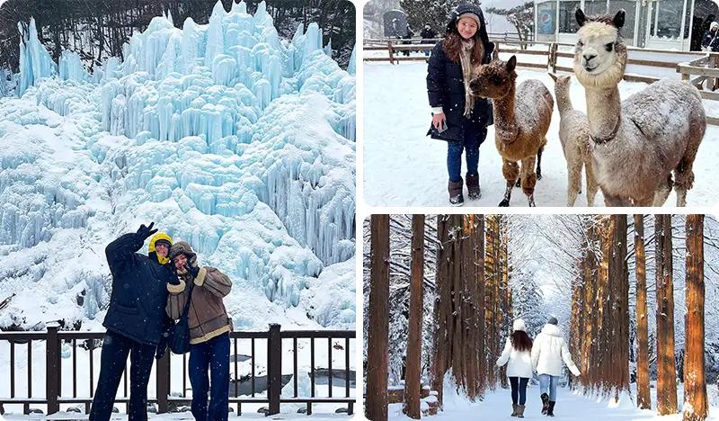 Nami Island + Eobi Ice Valley Tour (+ Garden of Morning Calm/ Rail Bike/ Petite France/ Alpaca World options)