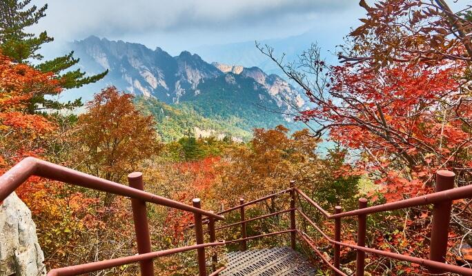 Seoraksan National Park Private Tour (+ Nami Island / Naksansa Temple / Daegwallyeong Sheep Farm / Sokcho Tourist & Fishery Market) - main view