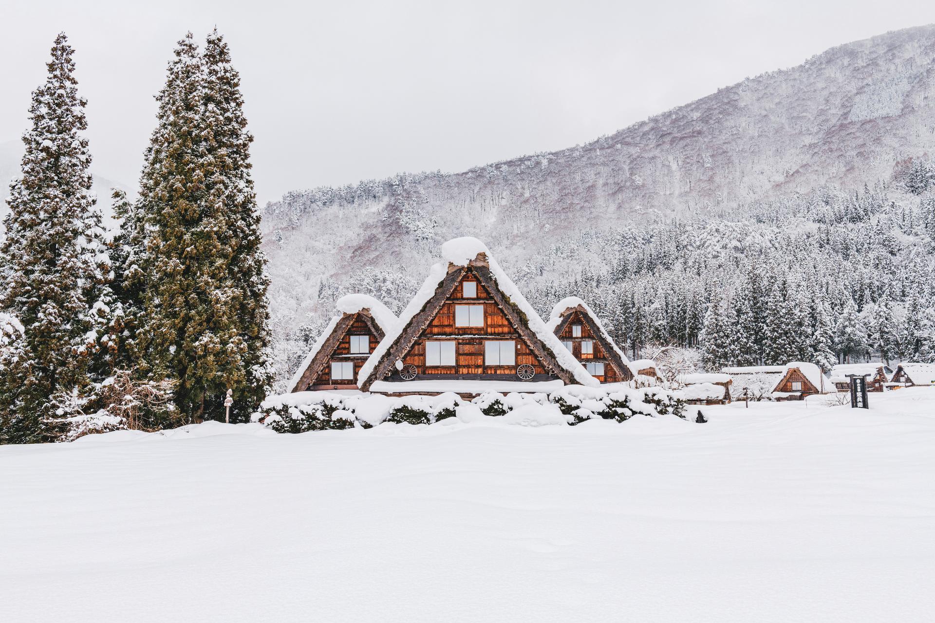 Best Ski Resorts near Nagoya for 2025/26 Winter Adventures