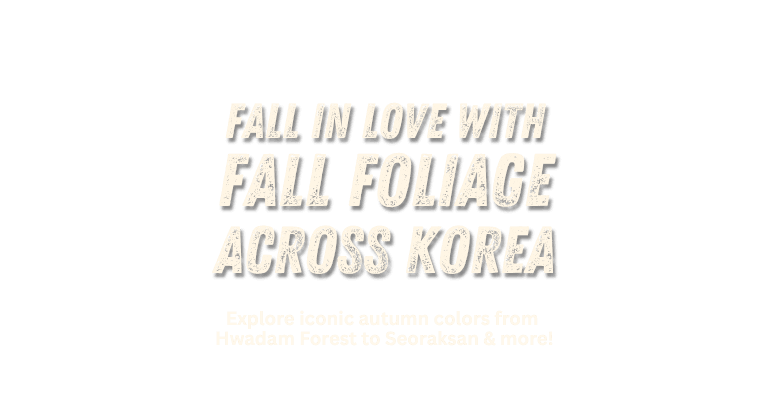 Fall into Korea's Autumn Foliage Tours