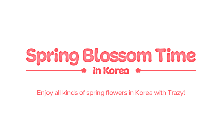 Spring Blossom Time