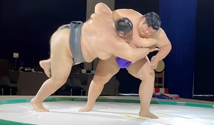 Sumo Show and Kimono Experience in Osaka - main view