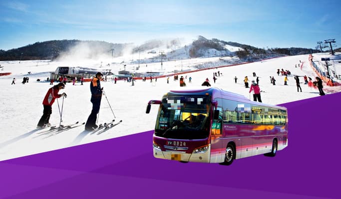 Seoul/Airport โ Alpensia Ski Resort Shuttle Bus - main view