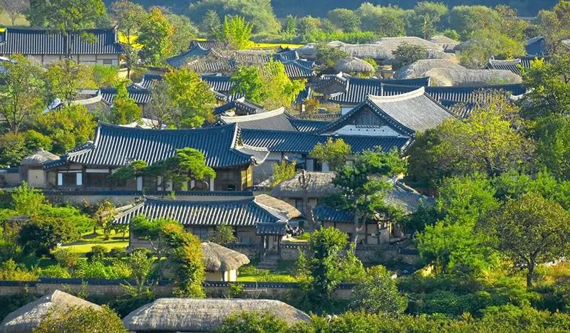Andong Soju & UNESCO Cultural Experience 1 Day Tour - from Busan - main view