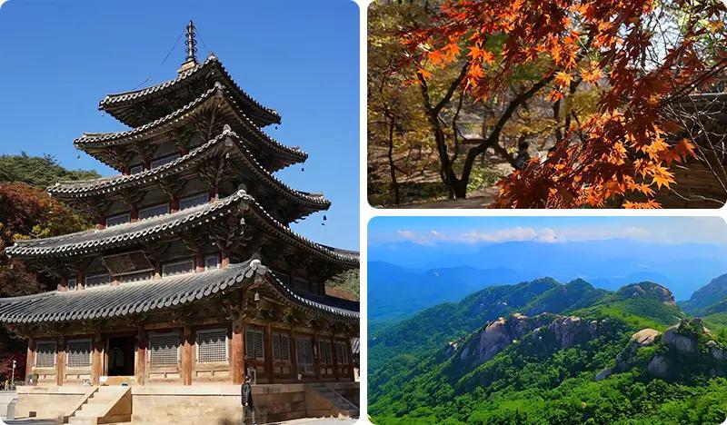 Songnisan National Park 1 Day Private Tour from Seoul: Beopjusa Temple UNESCO Site (+ Forest Trail Walking or Mountain Hiking) - main view