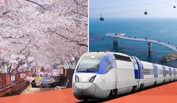 Spring Special: 2D1N Busan & Jinhae Tour Package from Seoul (Round-trip KTX tickets included) (Mar 28~Apr 5) - main view