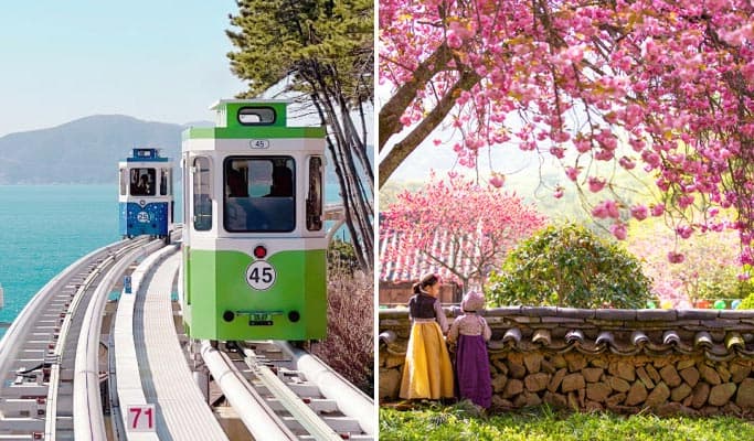 Spring Special: Blueline Park Sky Capsule & Cherry Blossom 1 Day Tour (Busan ↔ Vicinities, Mar 25~Apr 11) - main view