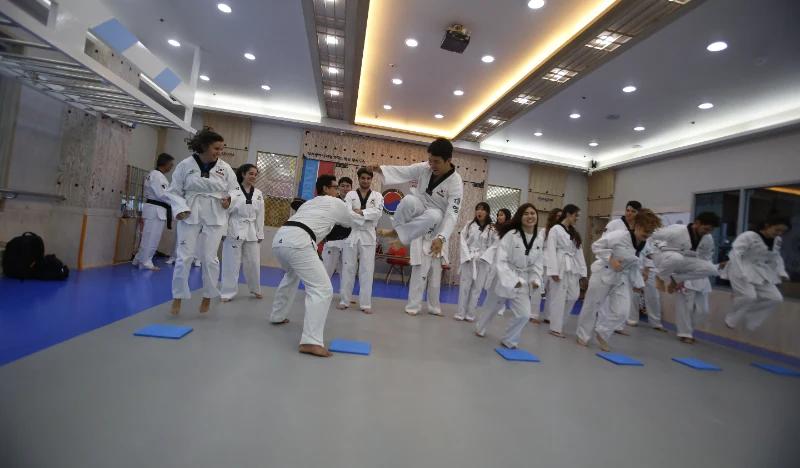 Busan 1 Day Taekwondo (Traditional Korean Martial Arts) Experience - main view