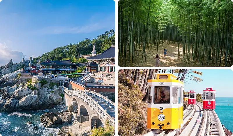 Busan City 1 Day Tour (+ Bamboo Forest/Sky Capsule option) - main view