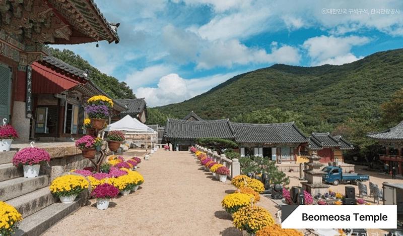 Busan & Yangsan UNESCO Temple 1 Day Tour (Oct 7 & 10) - main view