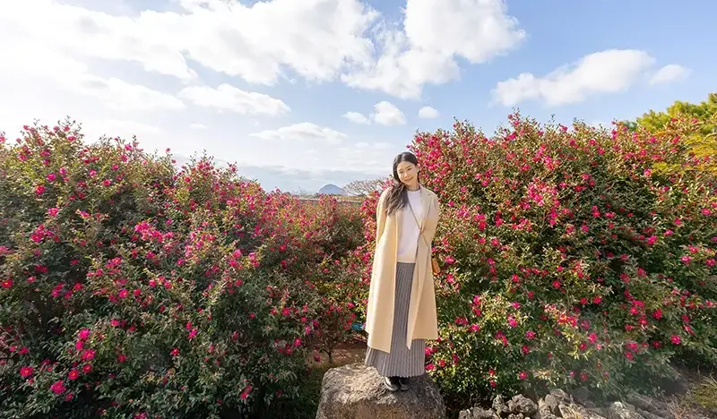 Camellia Hill Jeju Discount Ticket - main view
