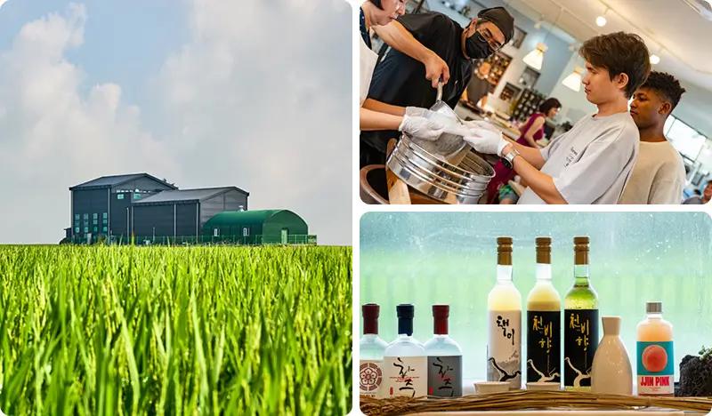 Visit a Korean Brewery from Seoul with Lunch & Alcohol Tasting - main view