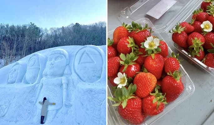 Chilgapsan Ice Fountain Festival & Cheonjangho Suspension Bridge at Cheongyang Alps Village (+ Winter Activities/Strawberry Picking) - main view