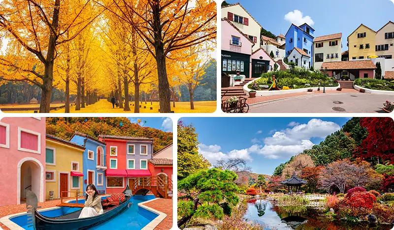 Nami Island (+ Garden of Morning Calm or Petite France & Italian Village) Tour - main view