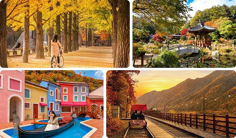 Nami Island & Rail Bike (+ Garden of Morning Calm or Petite France & Italian Village) Tour - main view