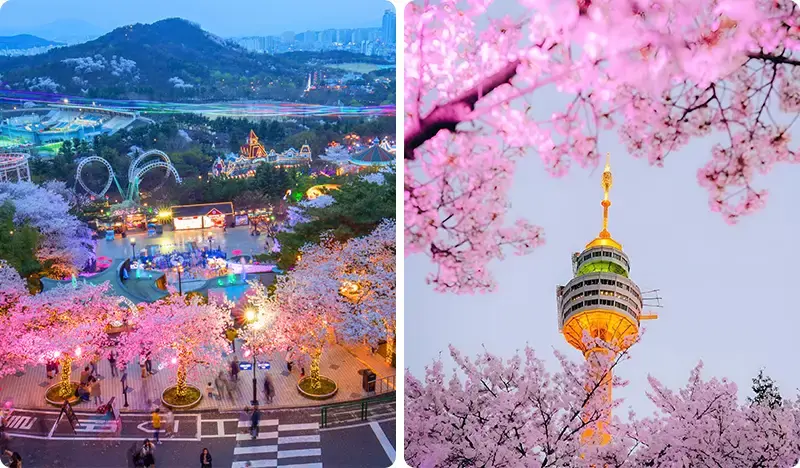 Daegu E-World & 83 Tower Observatory Discount Ticket - main view