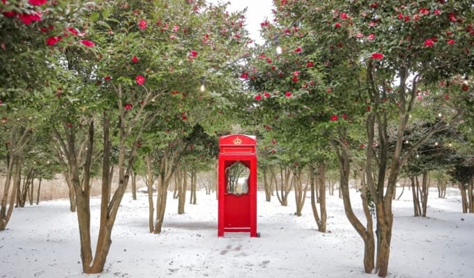 Ecoland Jeju Entrance Ticket - main view