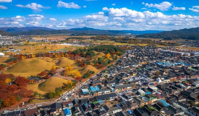 Korea Autumn/Fall Foliage 1 Day Tour (Busan ↔ Vicinities, Oct 28~Nov 15) - main view