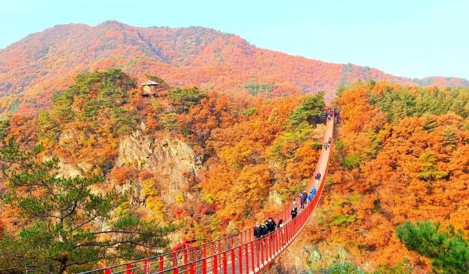 Mt. Gamaksan + Eunpyeong Hanok Village Tour (+ Chorigol/ Strawberry Picking/ Haneul Park options) - from Seoul