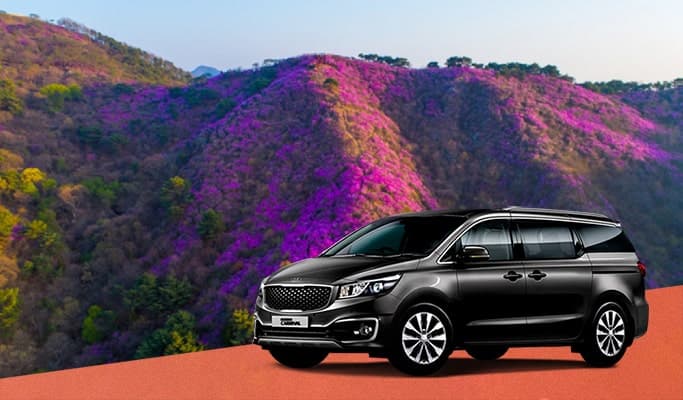 Spring Special: 2025 Goryeosan Mountain Azalea Festival Private Tour - from Seoul (Apr 7~13) - main view