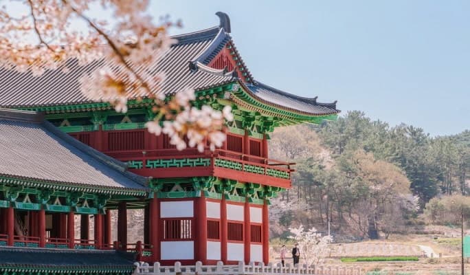 Spring Special: Gyeongju Cherry Blossom 1 Day Tour (+ Transfer option) - from Seoul/Busan (Apr 1~11) - main view