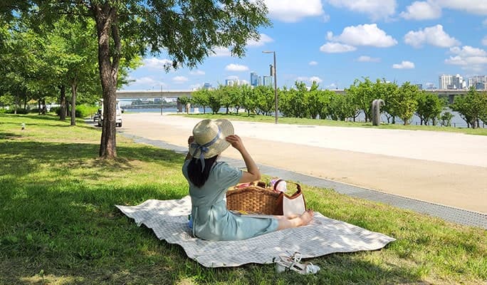Hangang Park Picnic Tent & Mat Rental in Yeouido/Ttukseom - main view