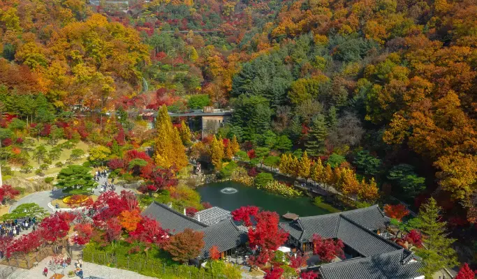 Hwadam Botanic Garden Shuttle Bus & Admission Ticket Package - from Seoul - main view