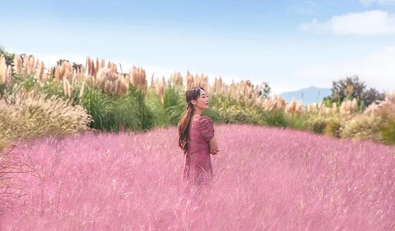Camellia Hill Jeju Discount Ticket - main view