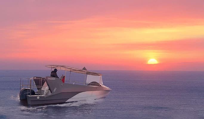 Dolphin Watching Tour at Hamo Beach, Jeju - main view