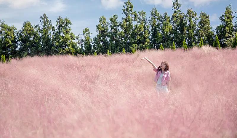 Jeju Hueree Natural Park Discount Ticket - main view