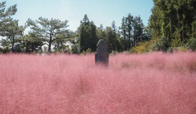 Jeju Hueree Natural Park Discount Ticket - main view