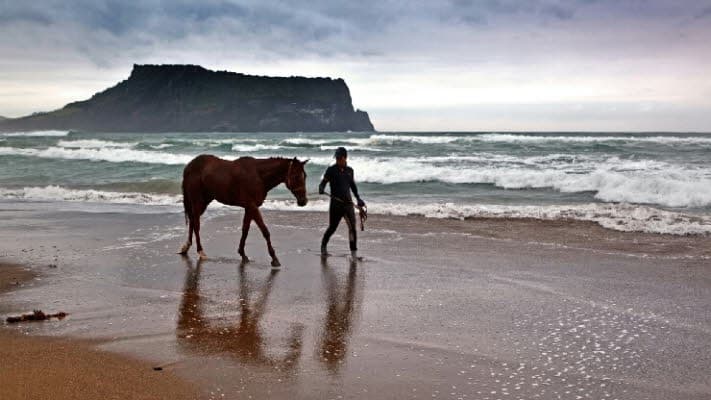 Horse Riding on Jeju Island's Beach - main view