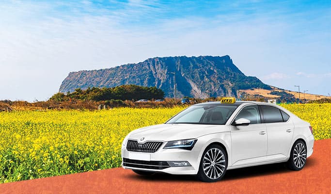 Hire a taxi with a driver in Jeju - Jeju Taxi Tour (up to 4 passengers) - main view