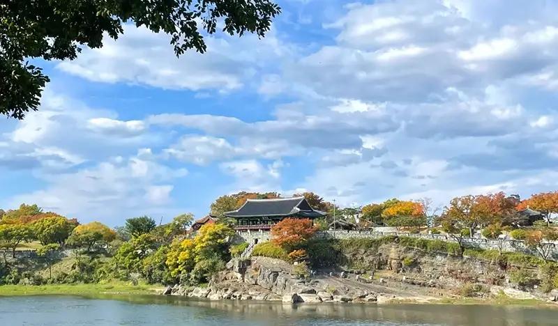 Jinju Old Town 1 Day Walking Tour: Traditional Tea Tasting + Jinju Lantern Museum + River Cruise