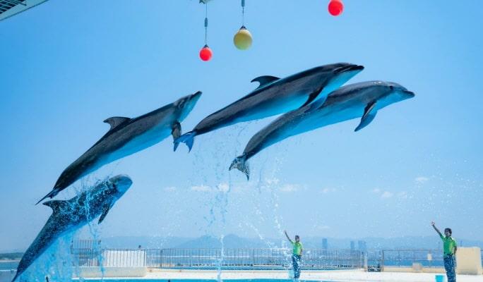 Fukuoka Marine World Uminonakamichi Ticket - main view