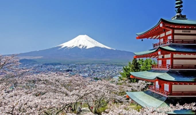 Mt. Fuji Special: Oshino Hakkai + Lake Kawaguchi 1 Day Tour from Tokyo - main view