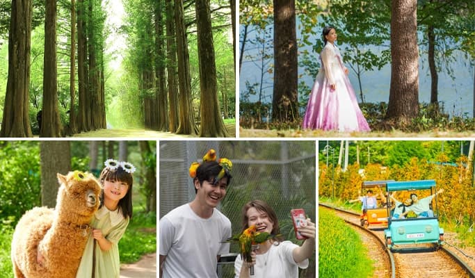 Nami Island & Hanbok Rental (+ Begonia Bird Park/ Rail Bike/ Alpaca World) Tour - from Seoul - main view