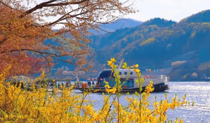 Nami Island Discount Ticket with Round-trip Ferry Ride - main view