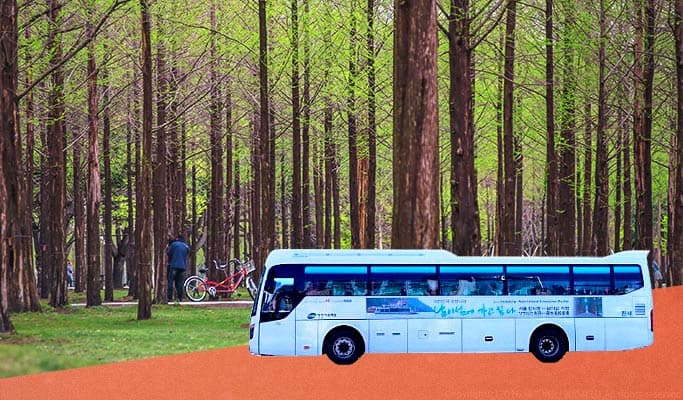 2D1N Nami Island Shuttle Bus + Ticket + Hotel Package - main view