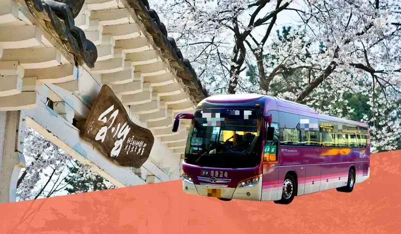 Nami Island Shuttle Bus from Seoul - main view