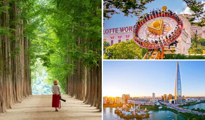Nami Island + Lotte World/ Seoul Sky Observatory 1 Day Tour (Lotte Duty Free Shopping included) - from Seoul - main view