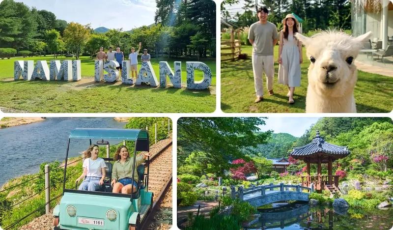 Nami Island & Alpaca Garden (+ Rail Bike/ Waterfall Cafe/ Garden of Morning Calm/ The Stay Healing Park) Tour - main view
