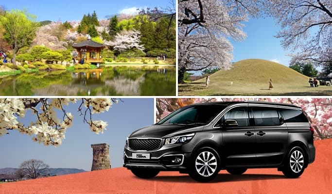 Spring Special: Gyeongju Cherry Blossom & Spring Flower Private Tour - from Busan (Mar 21~Apr 13) - main view