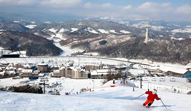 Alpensia Ski Resort: Private Ski/Snowboard Lesson (Lesson Only) - main view