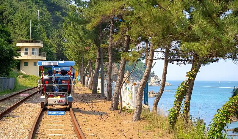 Samcheok Ocean Rail Bike Ticket - main view