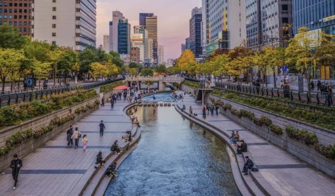 Seoul City Tour for Vegetarians & Muslims - main view