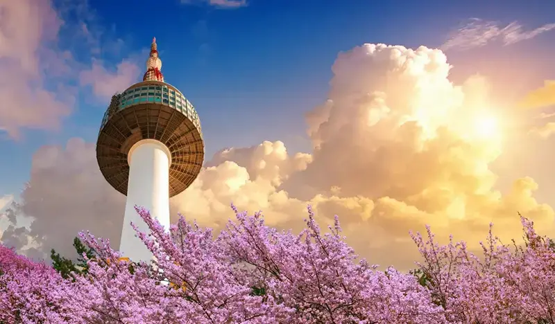 N Seoul Tower Observatory Discount Ticket - main view