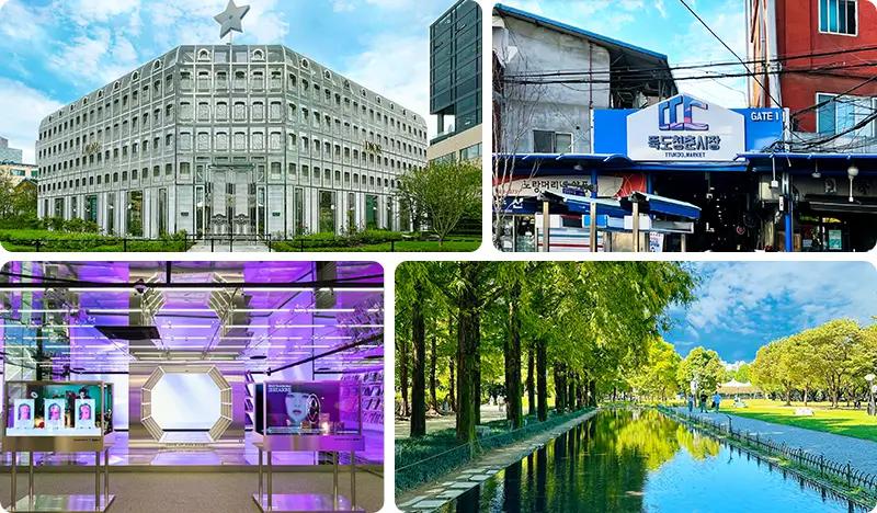 Seoul Walking Half Day Tour: Seongsu Cafes + Shopping + K-Pop & Culture - main view