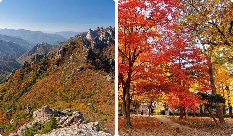 Seoraksan and Nami Island (+ Eobi Ice Valley) 1 Day Tour - from Seoul - main view