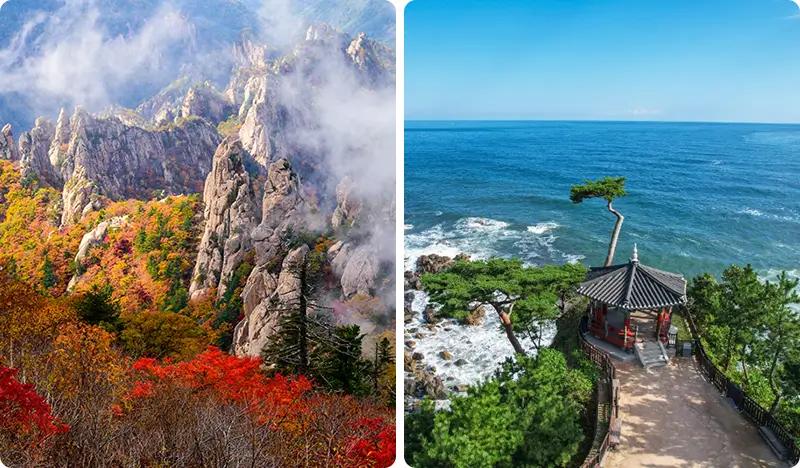 Seoraksan National Park & Naksansa Temple 1 Day Tour - main view